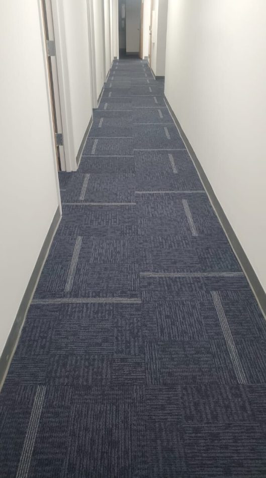 08f66650-138c-450e-945e-5c2f3776b1dc