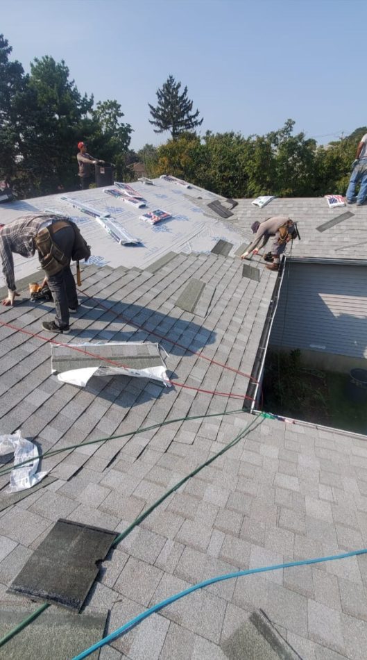 5e0f43be-4e68-4d6d-85aa-ff4902ed8ce6