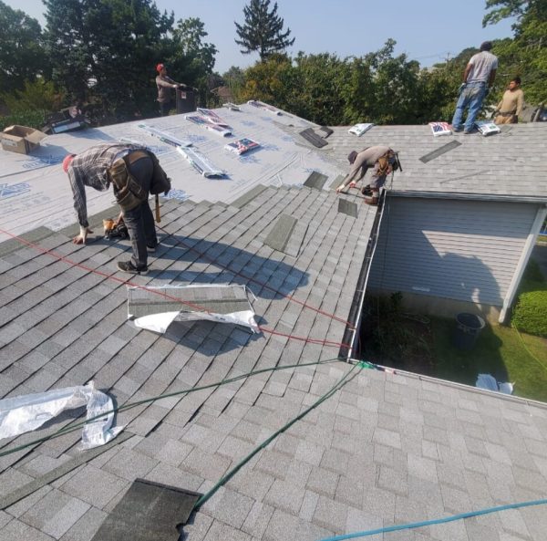 5e0f43be-4e68-4d6d-85aa-ff4902ed8ce6