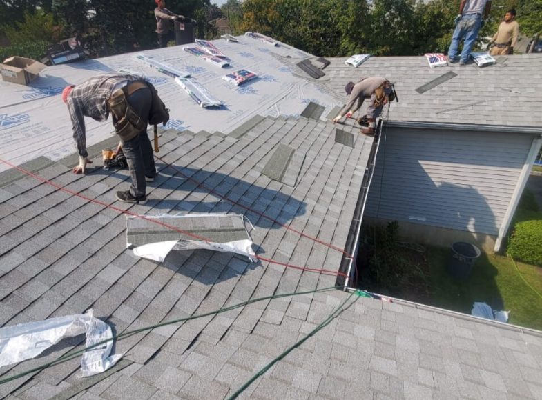 5e0f43be-4e68-4d6d-85aa-ff4902ed8ce6